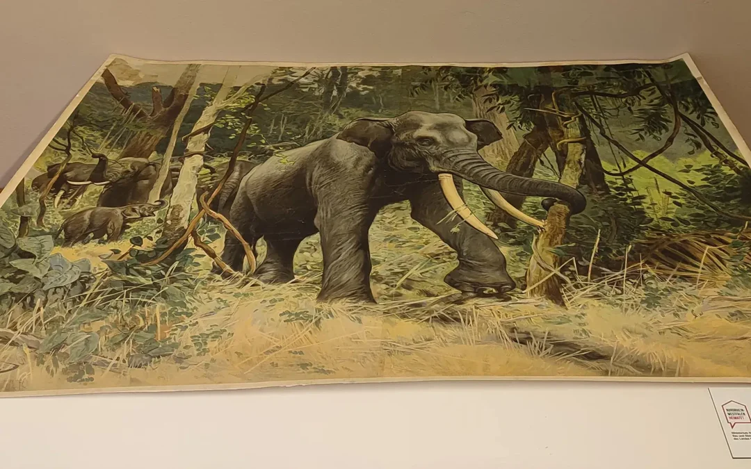 Schulwandbild Restaurierung „Indischer Elefant“ von ca. 1903(Restauriert im Jahr 2024)